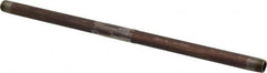 B&K Mueller - Schedule 40, 1/4" Diam x 12" Long Steel Black Pipe Nipple - Threaded - Benchmark Tooling