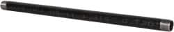 B&K Mueller - Schedule 40, 1" Diam x 24" Long Steel Black Pipe Nipple - Threaded - Benchmark Tooling