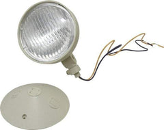 Mule - 1 Head, 12 VDC, Polycarbonate, Incandescent Remote Emergency Lighting Head - 25 Watt, Battery Not Included - Benchmark Tooling