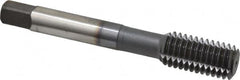 Accupro - 1/2-13 UNC H5 Thread Limit Bottoming Thread Forming Tap - Powdered Metal High Speed Steel, TiCN Finish, 3-3/8" OAL - Benchmark Tooling