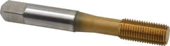 Accupro - 3/8-24 UNF H5 Thread Limit Bottoming Thread Forming Tap - Powdered Metal High Speed Steel, TiN Finish, 2-15/16" OAL - Benchmark Tooling