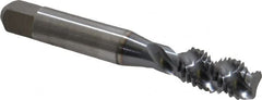 Accupro - M10x1.50 Metric Coarse 3 Flute 6H Modified Bottoming Spiral Flute Tap - Powdered Metal, TiCN Finish, 2-15/16" OAL, Right Hand Flute, Right Hand Thread, D6 - Benchmark Tooling
