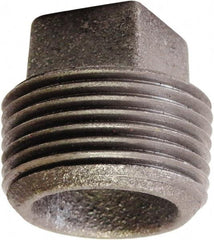 Made in USA - Size 2", Class 125, Cast Iron Black Pipe Square Plug - 175 psi, FPT End Connection - Benchmark Tooling