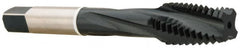 Accupro - 7/16-20 4 Flute Modified Bottoming Spiral Flute Tap - Vanadium High Speed Steel, Nitride Finish, 3-5/32" OAL, Right Hand Flute, Right Hand Thread, H3 - Benchmark Tooling