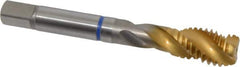 Guhring - 1/2-13 UNC 3 Flute 2B Modified Bottoming Spiral Flute Tap - Powdered Metal, TiN Finish, 3-3/8" OAL, Right Hand Flute, Right Hand Thread, Series 3910 - Benchmark Tooling
