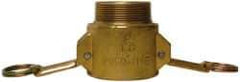 EVER-TITE Coupling Products - 2-1/2" Brass Cam & Groove Suction & Discharge Hose Female Coupler Male NPT Thread - Part B, 2-1/2" Thread, 250 Max psi - Benchmark Tooling