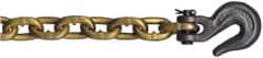 CM - 5/16" Welded Transport Chain Assembly with Clevis Hooks - 4,700 Lb Capacity, Grade 70, 20' Long, Yellow Chromate Finish - Benchmark Tooling