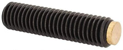 J.W. Winco - M8x1.25 Metric Coarse, 32mm Length of Thread, Soft Tip Point Set Screw - Grade 5.8 Steel, 4mm Key - Benchmark Tooling