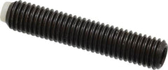 J.W. Winco - M10x1.50 Metric Coarse, 50mm Length of Thread, Soft Tip Point Set Screw - Grade 5.8 Steel, 5mm Key - Benchmark Tooling