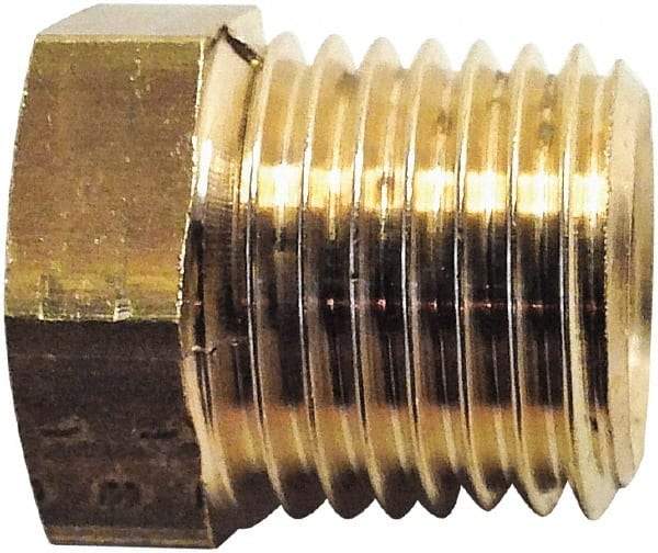 Legris - 3/8 Male Thread x 1/4 Female Thread, Brass Industrial Pipe Hex Bushing - MBSPT x FBSPP, 3,626 psi - Benchmark Tooling