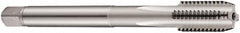 DORMER - 1-1/4 - 7 UNC 2B 4 Flute Bright Finish Cobalt Straight Flute Machine Tap - Bottoming, Right Hand Thread, 180mm OAL, 50mm Thread Length, Oversize - Exact Industrial Supply