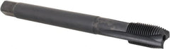 DORMER - 1/8-28" BSPP, 3 Flutes, Plug Chamfer, Oxide Coated, Cobalt British Standard Pipe Tap - Series EP41 - Exact Industrial Supply