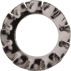 Value Collection - M6 Screw, 6.4mm ID, Stainless Steel External Tooth Lock Washer - 11mm OD, Uncoated, Grade 316 & Austenitic A4 - Benchmark Tooling