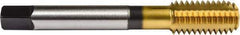 Union Butterfield - #10-32 UNF 2B/3B H6 Thread Limit Bottoming Thread Forming Tap - Powdered Metal High Speed Steel, TiN Finish, 2-3/8" OAL, 1/2" Thread Length, Right Hand Thread, Series 1641 - Benchmark Tooling