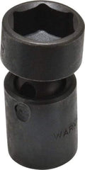 Proto - 3/8" Drive 19mm Standard Universal Impact Socket - 6 Points, 2-3/32" OAL - Benchmark Tooling