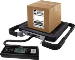 Dymo - 15" Base, 100 Lb Capacity, Digital Scale - 0.2 Lb Graduation, USB, 120 Volt Adapter or (3) AAA Batteries - Benchmark Tooling