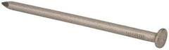 Made in USA - 20D, 6 Gauge, 4" OAL Common Nails - Smooth Shank, T304 Stainless Steel - Benchmark Tooling