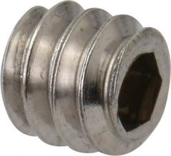 Value Collection - #10-24 UNC, 3/16" OAL, Cup Point Set Screw - Grade 18-8 Stainless Steel, 3/32" Key - Benchmark Tooling