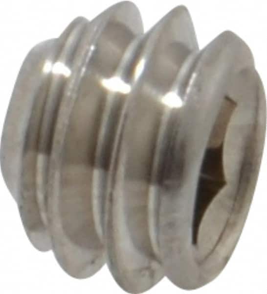 Value Collection - 1/4-20 UNC, 3/16" OAL, Cup Point Set Screw - Grade 18-8 Stainless Steel, 1/8" Key - Benchmark Tooling