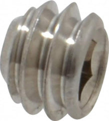 Value Collection - 1/4-20 UNC, 3/16" OAL, Cup Point Set Screw - Grade 18-8 Stainless Steel, 1/8" Key - Benchmark Tooling