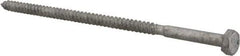 Value Collection - 1/4" Screw, 6" Length Under Head, Steel, Hex Head Lag Screw - Hot Dipped Galvanized, AISI 1006, ASME B18.2.1 Fastner, Grade 1006-1022 - Benchmark Tooling