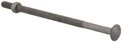 Value Collection - 3/8-16 UNC 8" Length Under Head, Standard Square Neck, Carriage Bolt - 1006-1050 Steel, Galvanized Zinc-Plated Finish - Benchmark Tooling