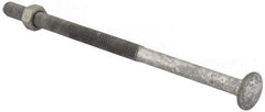 Value Collection - 1/2-13 UNC 10" Length Under Head, Standard Square Neck, Carriage Bolt - 1006-1050 Steel, Galvanized Zinc-Plated Finish - Benchmark Tooling