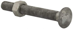 Value Collection - 5/8-11 UNC 5" Length Under Head, Standard Square Neck, Carriage Bolt - 1006-1050 Steel, Galvanized Zinc-Plated Finish - Benchmark Tooling