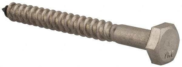 Value Collection - 1/4" Screw, 2-1/2" Length Under Head, Stainless Steel, Hex Head Lag Screw - Grade 18-8, Uncoated - Benchmark Tooling