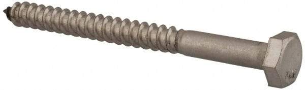 Value Collection - 1/4" Screw, 3" Length Under Head, Stainless Steel, Hex Head Lag Screw - Grade 18-8, Uncoated - Benchmark Tooling