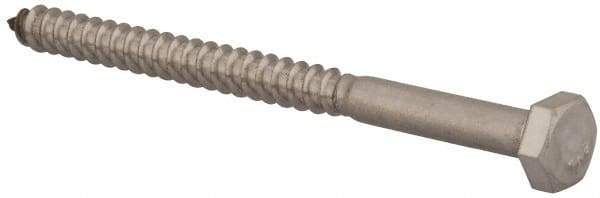 Value Collection - 1/4" Screw, 3-1/2" Length Under Head, Stainless Steel, Hex Head Lag Screw - Grade 18-8, Uncoated - Benchmark Tooling