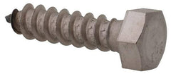 Value Collection - 3/8" Screw, 1-1/2" Length Under Head, Stainless Steel, Hex Head Lag Screw - Grade 18-8, Uncoated - Benchmark Tooling