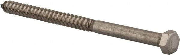 Value Collection - 3/8" Screw, 6" Length Under Head, Stainless Steel, Hex Head Lag Screw - Grade 18-8, Uncoated - Benchmark Tooling