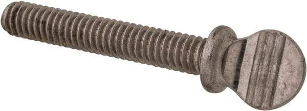 Value Collection - #8-32 Oval Shoulder Grade 18-8 Stainless Steel Thumb Screw - 1" OAL, 0.38" Head Height - Benchmark Tooling