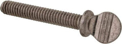 Value Collection - #8-32 Oval Shoulder Grade 18-8 Stainless Steel Thumb Screw - 1" OAL, 0.38" Head Height - Benchmark Tooling