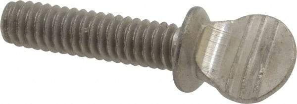 Value Collection - 1/4-20 Oval Shoulder Grade 18-8 Stainless Steel Thumb Screw - 1" OAL, 0.64" Head Height - Benchmark Tooling