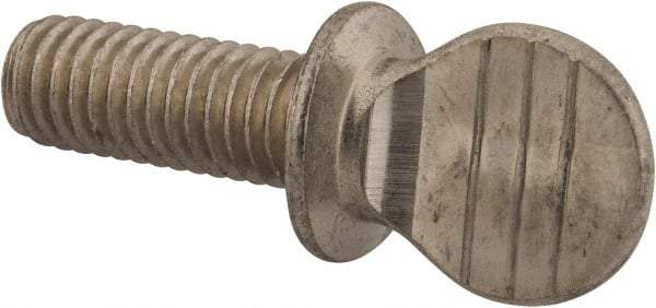 Value Collection - 3/8-16 Oval Shoulder Grade 18-8 Stainless Steel Thumb Screw - 1" OAL, 0.95" Head Height - Benchmark Tooling