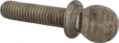 Value Collection - 3/8-16 Oval Shoulder Grade 18-8 Stainless Steel Thumb Screw - 1-1/2" OAL, 0.95" Head Height - Benchmark Tooling