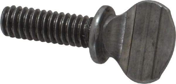 Value Collection - #8-32 Oval Shoulder Grade 2 Steel Thumb Screw - 1/2" OAL, 0.39" Head Height, Uncoated - Benchmark Tooling