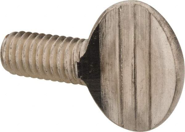 Value Collection - 3/8-16 Oval Shoulderless Grade 18-8 Stainless Steel Thumb Screw - 3/4" OAL, 0.95" Head Height - Benchmark Tooling