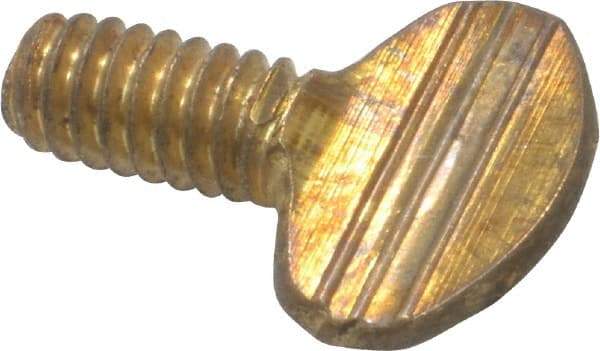 Value Collection - 1/4-20 Oval Shoulderless Brass Thumb Screw - 1/2" OAL, 0.64" Head Height - Benchmark Tooling