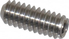Value Collection - 1/4-20 UNC, 5/8" OAL, Cup Point Set Screw - Grade 316 Stainless Steel, 1/8" Key - Benchmark Tooling