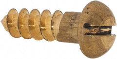 Value Collection - #12, 3/4" Length Under Head, Slotted Drive, Round Head Wood Screw - ASME B18.6.1, Brass - Benchmark Tooling