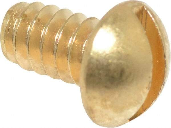 Value Collection - #6-32 UNC, 1/4" Length Under Head Slotted Drive Machine Screw - Round Head, Brass, Without Washer - Benchmark Tooling
