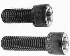 Camcar - 3/8-16 UNC Torx Plus Drive, Socket Cap Screw - Alloy Steel, Black Oxide Finish, Partially Threaded, 2" Length Under Head - Benchmark Tooling