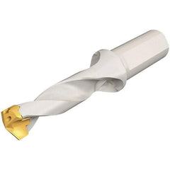 Iscar - 18 to 18.9mm Diam, 3xD, 54mm Max Depth, 25mm Shank Diam, 136.5mm OAL, Replaceable Tip Drill - IDK, IDM, IDN, IDP Insert, 18 Seat Size, DSM Toolholder, Series ChamDrillJet - Benchmark Tooling
