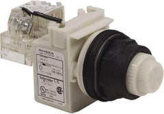 Schneider Electric - 120 V White Lens LED Press-to-Test Indicating Light - Round Lens, Screw Clamp Connector, Corrosion Resistant, Dust Resistant, Oil Resistant - Benchmark Tooling