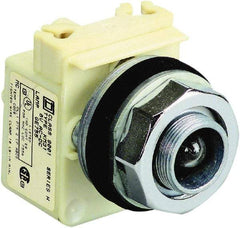 Schneider Electric - 48 V Incandescent Pilot Light - Round Lens, Screw Clamp Connector - Benchmark Tooling