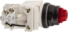 Schneider Electric - 24 V Red Lens LED Press-to-Test Indicating Light - Octagonal Lens, Screw Clamp Connector, Vibration Resistant - Benchmark Tooling