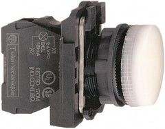 Schneider Electric - 110-120 VAC at 50/60 Hz White Lens LED Pilot Light - Round Lens, Screw Clamp Connector, 30mm Wide, Vibration Resistant, Water Resistant - Benchmark Tooling